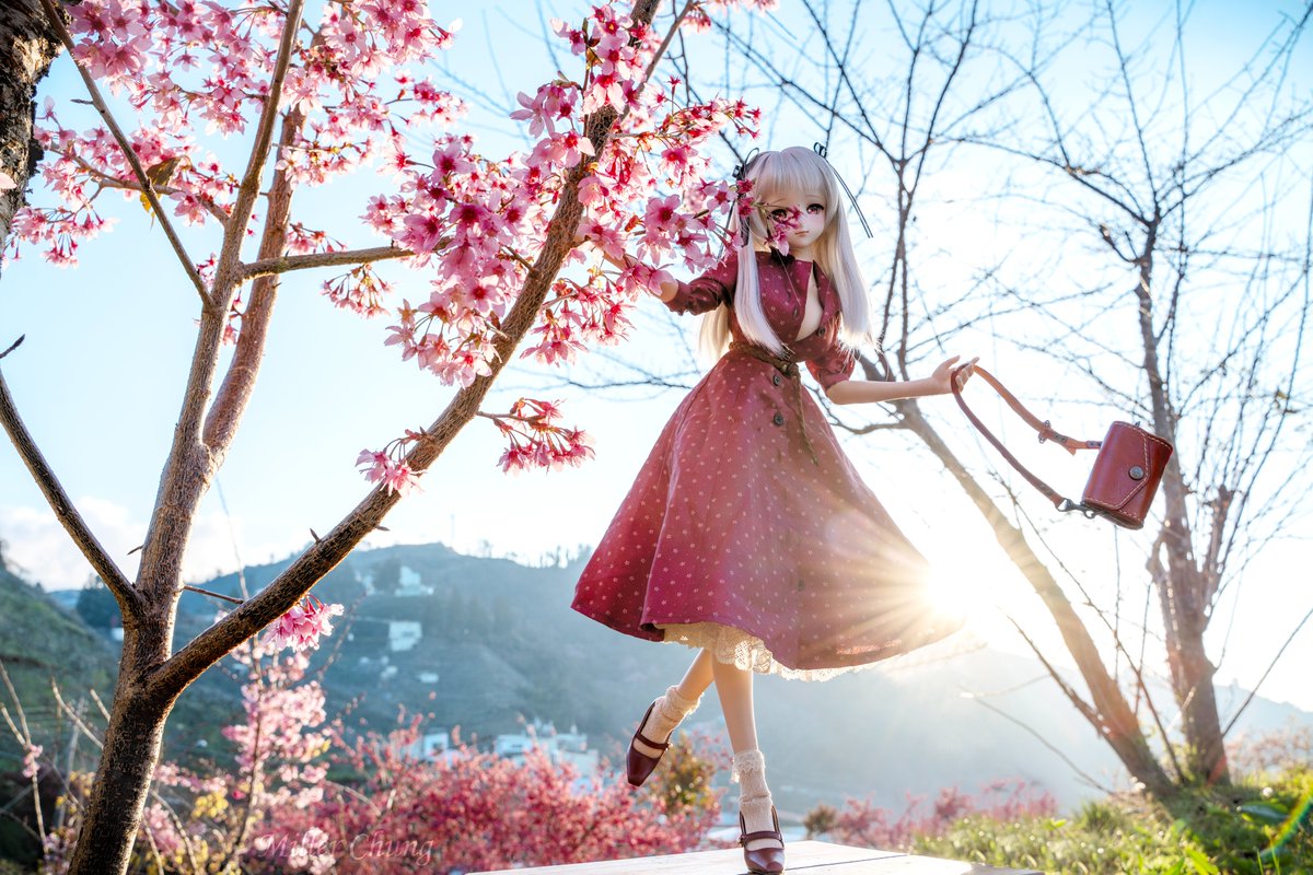 Miller Chung(ミラー) tweet media