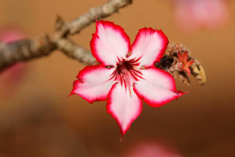 James Hall tweet media