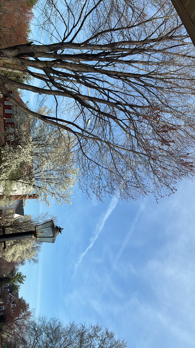 92sturdy's tweet image. My typa weather I’m in heaven mmm come find me ☀️ ☀️🤙🏾😝😁 #weoutside #beautifulday #gardening #sunny #explorepage