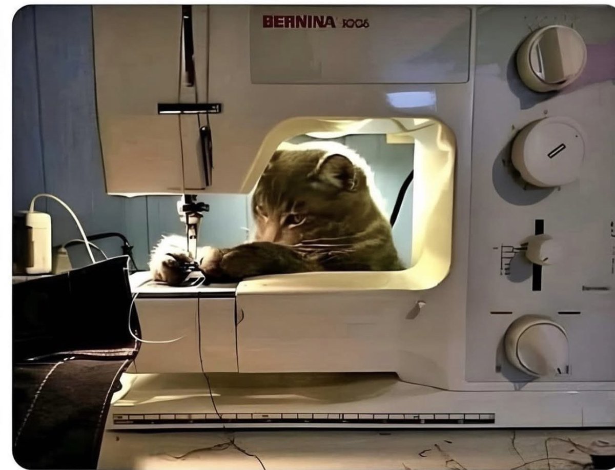 USMC Lady Vet 🇺🇸 tweet media