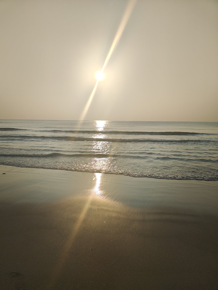 Patricia Rendón tweet media