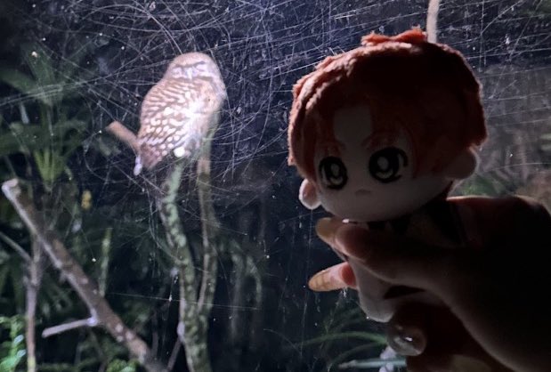 🍇 tweet media
