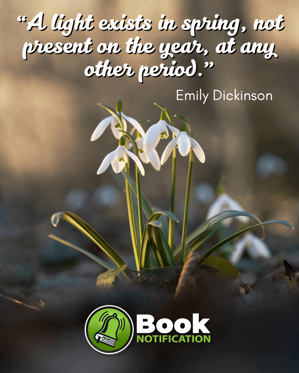 BookNotification tweet media