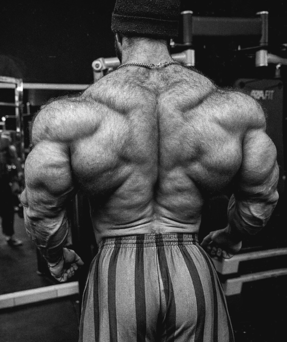 Avven Turor tweet media