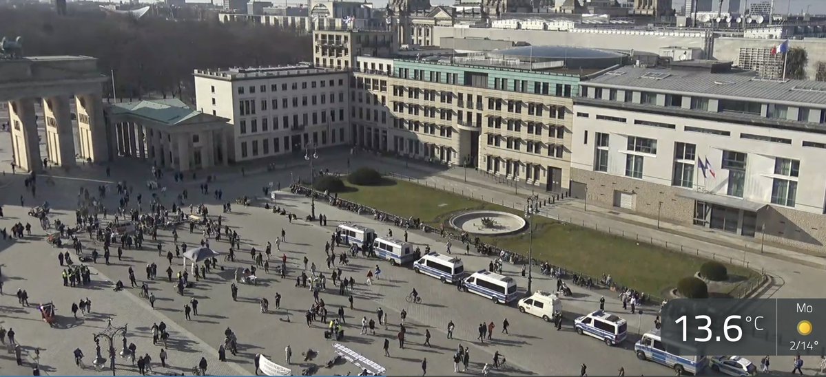 Politik mit Kopf tweet media