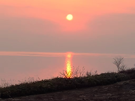 BDG　※仲間内の音楽文学プロジェクト｢BDGレコーズ｣の事務局＆広報担当です tweet media