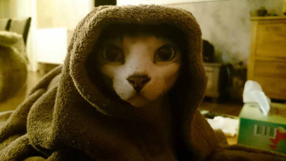 Sedhrick tweet media