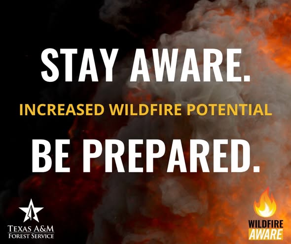 Incident Information - Texas A&M Forest Service tweet media