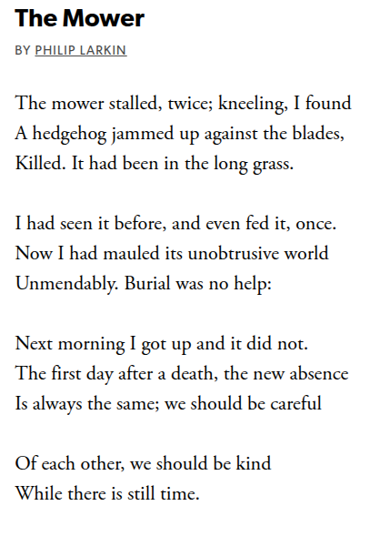 Bill Ryan tweet media