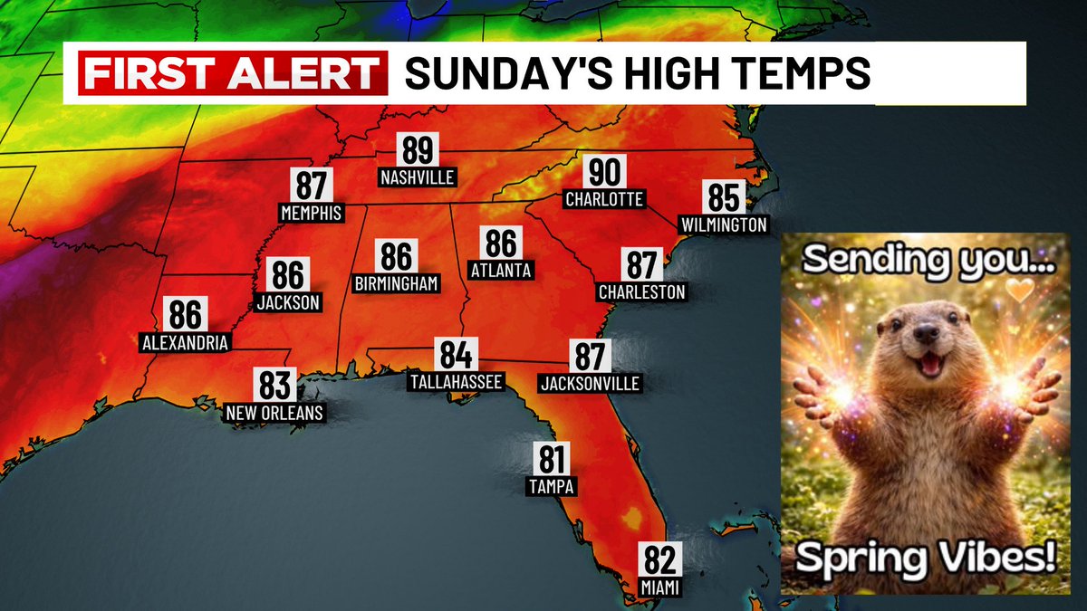 Lexie Horvath tweet media