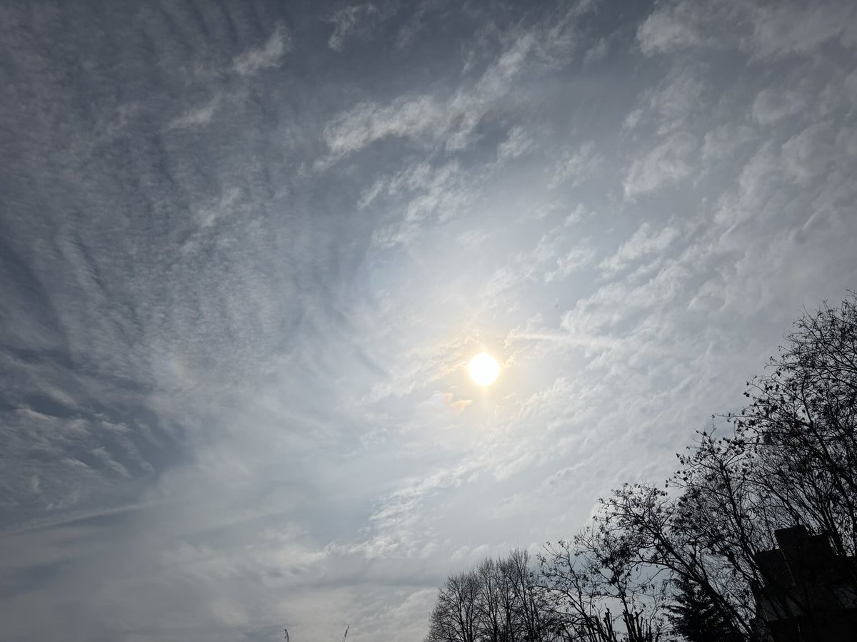 BassCabbieMan 🏴 🇬🇧 🇺🇸 tweet media