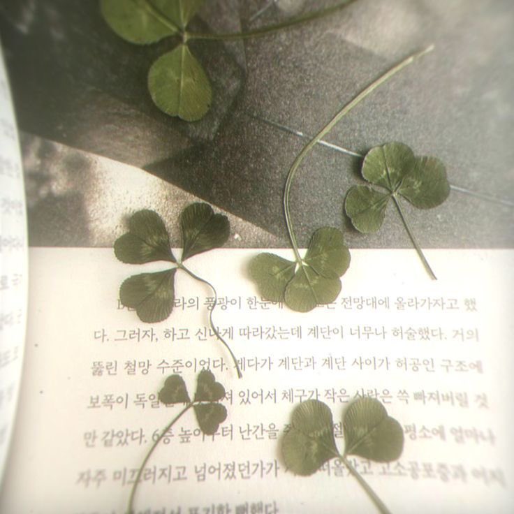 ⌗ ˖°ดูดวงไพ่ทาโรต์✧⁺ ໒꒱ tweet media