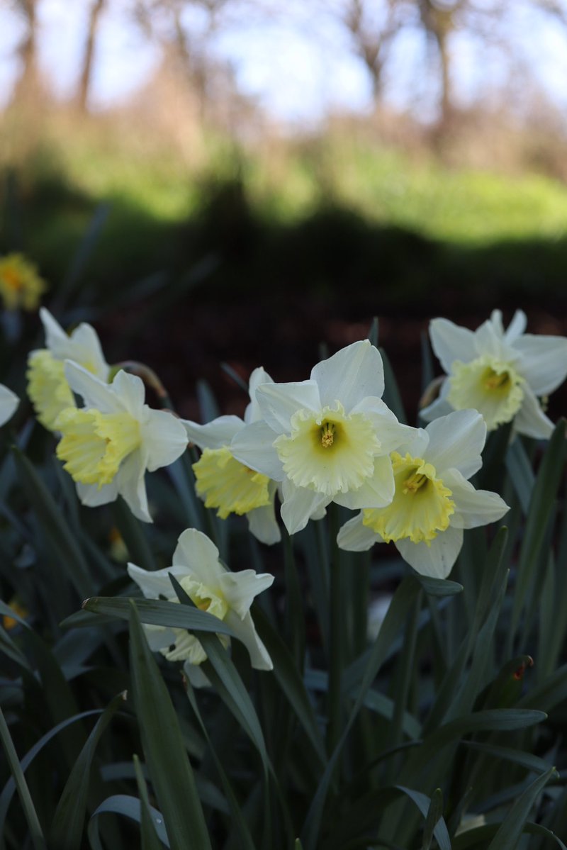 🇨🇦 Jean Paetkau 📕 tweet media