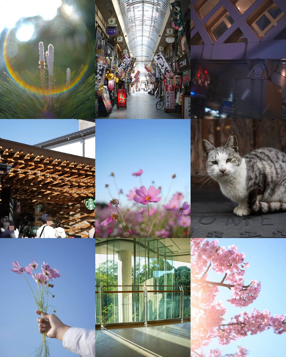 もろこしよっぴ🌽4日シェアマニ tweet media