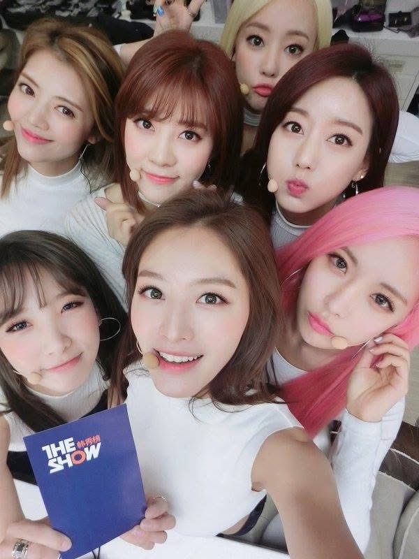 겉절이 tweet media