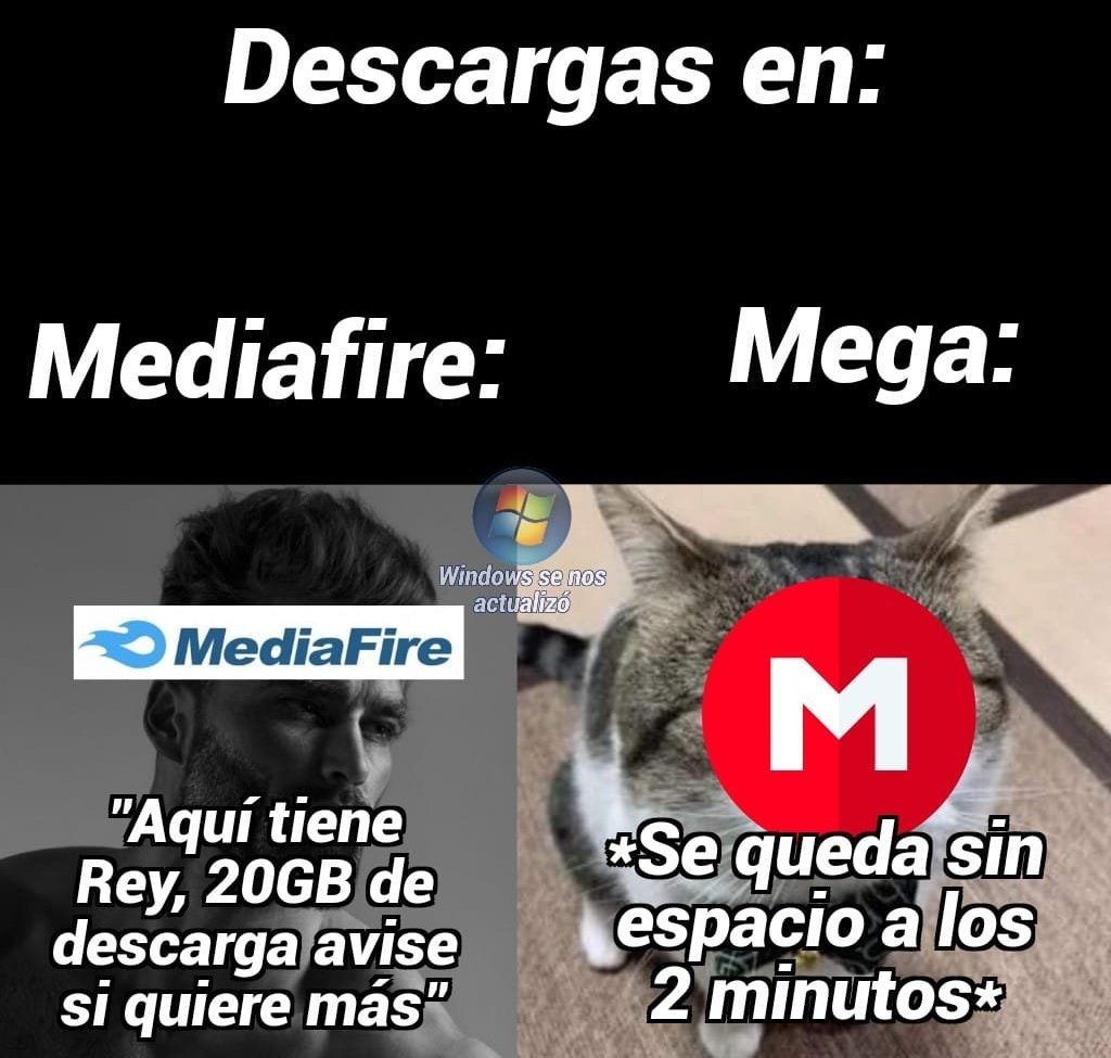 Evernight'nt tweet media