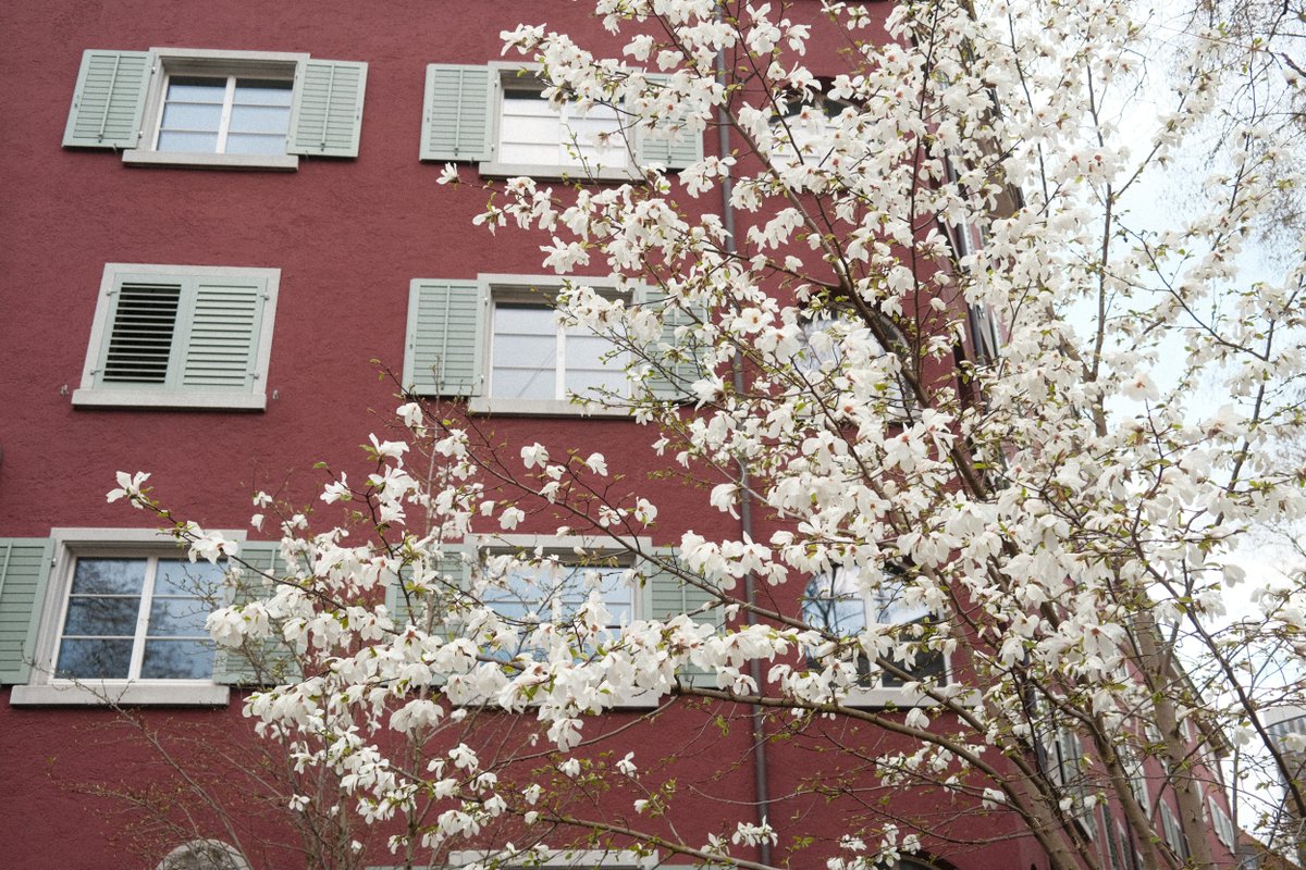 𝙵𝚕𝚘𝚛𝚒𝚊𝚗 𝙶 tweet media