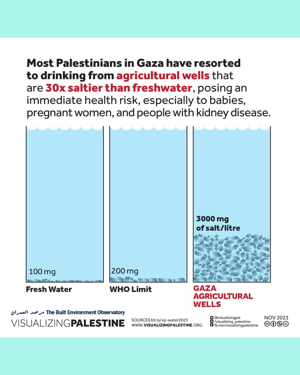 Visualizing Palestine tweet media