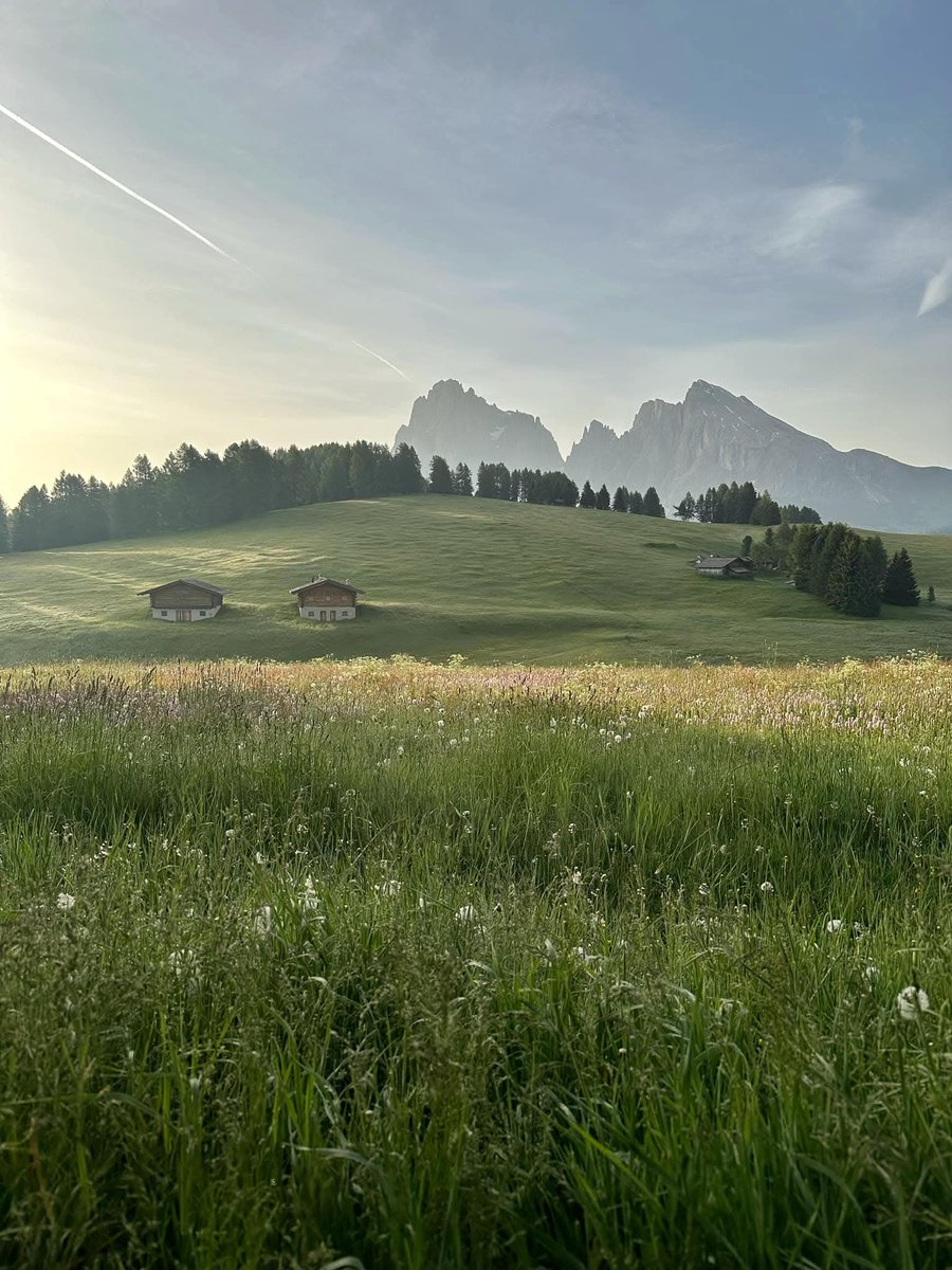 GETSUYOUBI tweet media