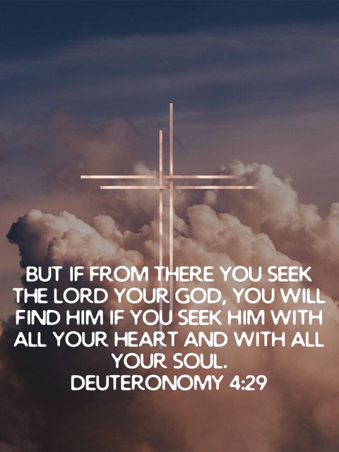 Ryan Rhoades tweet media