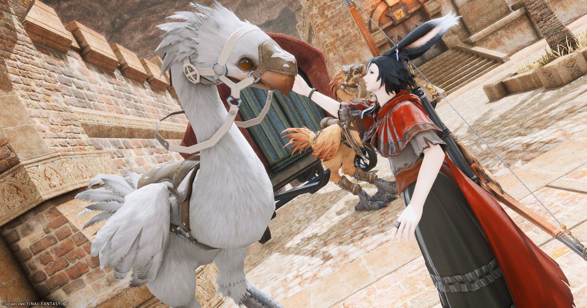 Hydrangea tweet media