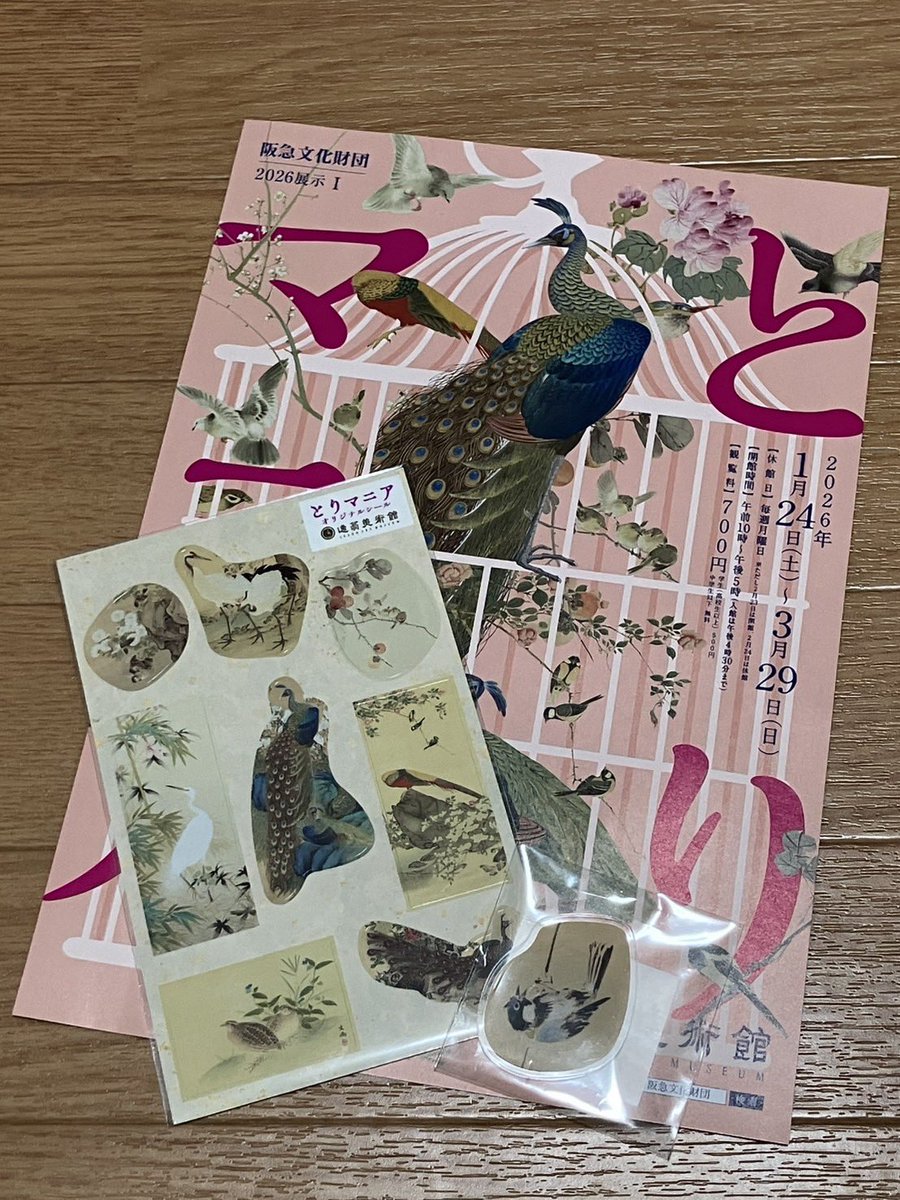 逸翁美術館で開催中の、「とりマニア」展、行って来ました！！🦚
描かれている鳥の種類が、履歴書？のような書き方で紹介されていて、面白かったです！w