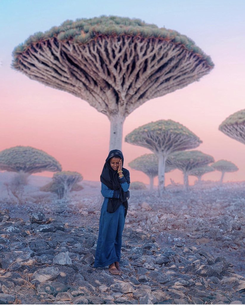 arab11__'s tweet photo. Socotra Island, Yemen https://t.co/sjT3qxtdfI