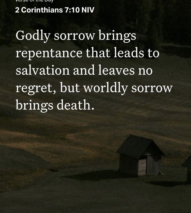 Ryan 🇺🇸 tweet media