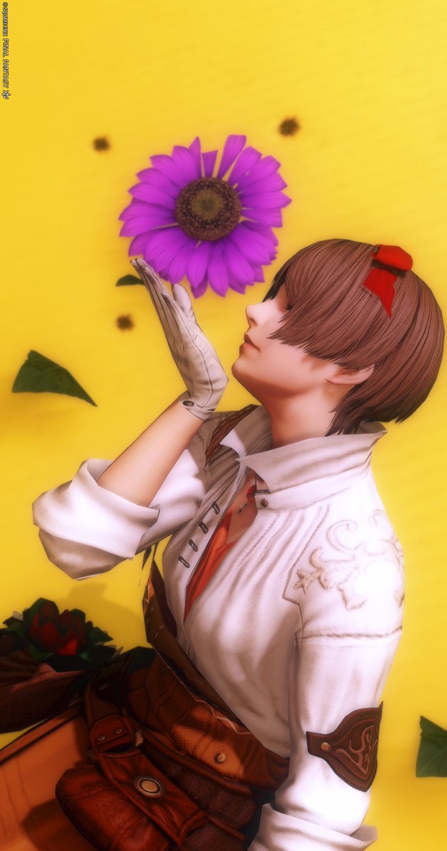 Hydrangea tweet media