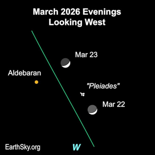 GrannyMooninVA's tweet image. Sunday and Monday: Moon, Aldebaran, Pleiades
✨✨✨

Tonight and tomorrow night, the waxing crescent Moon will lie near the famous Pleiades star cluster, also known as the 7 Sisters. 

The Pleiades star cluster is in the constellation Taurus the Bull. And the brightest star in