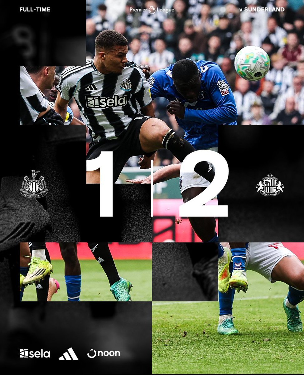 Magpie 24/7 tweet media