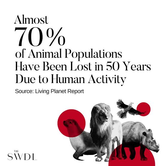 Dilthi Gujarati tweet media