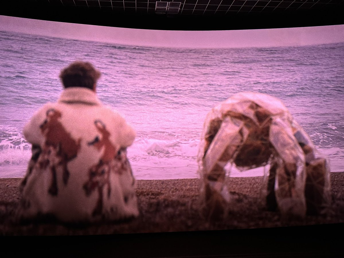 奕晴📷 tweet media