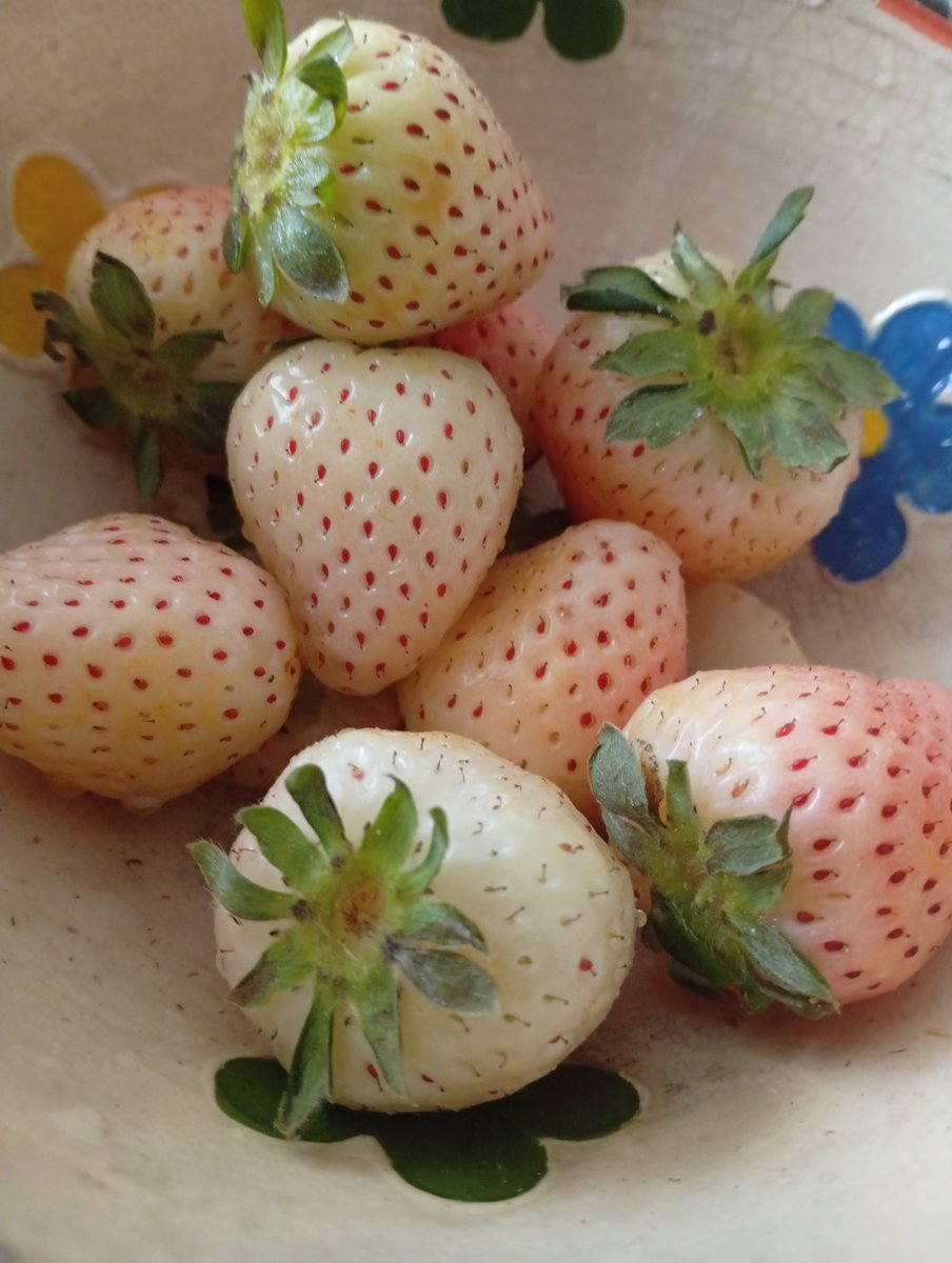 lucalucaeluca tweet media