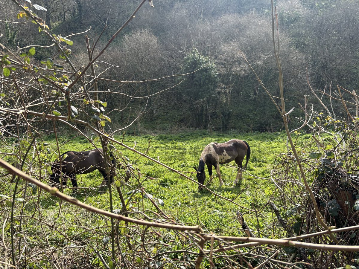 Slarty Bartfast tweet media