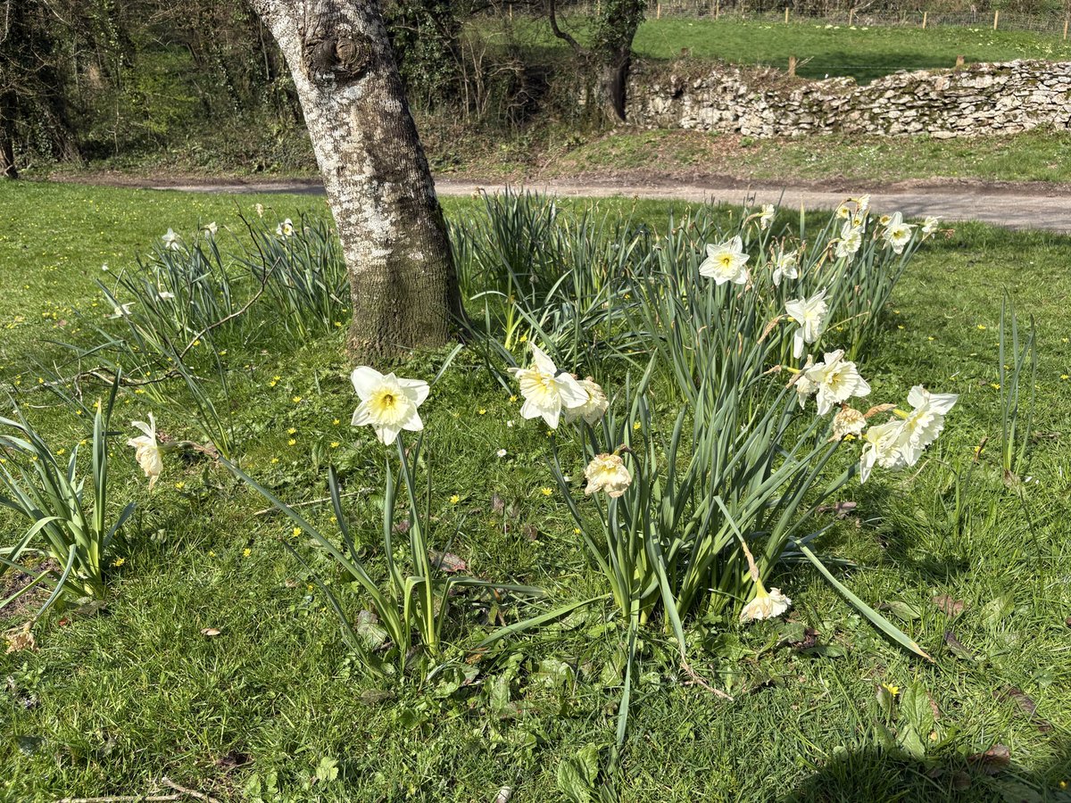 Slarty Bartfast tweet media