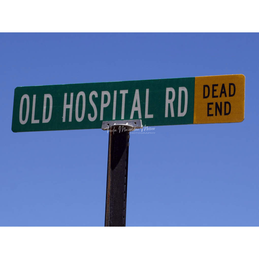 Toula Grayce Mavridou-Author & Photographer-No DMs tweet media