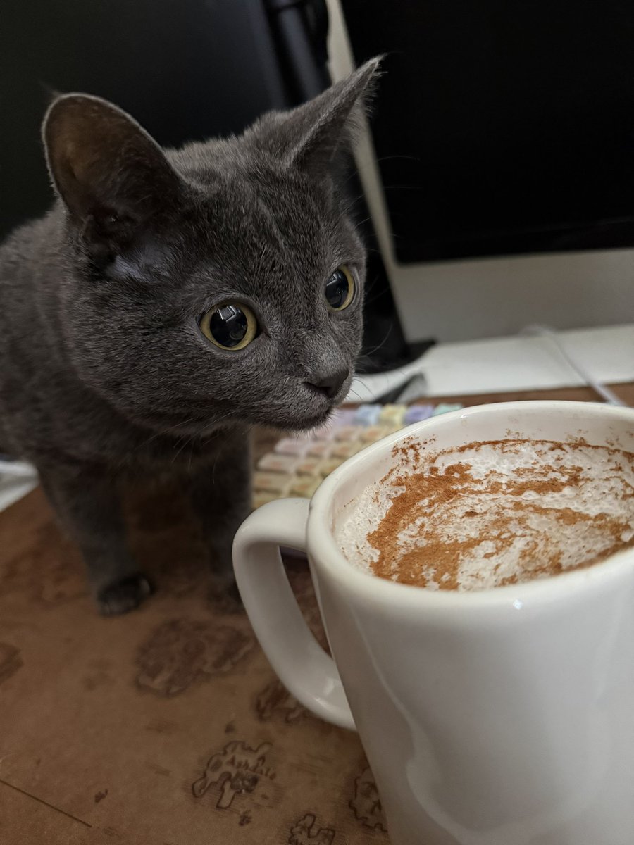 NYChannel 🪓 tweet media