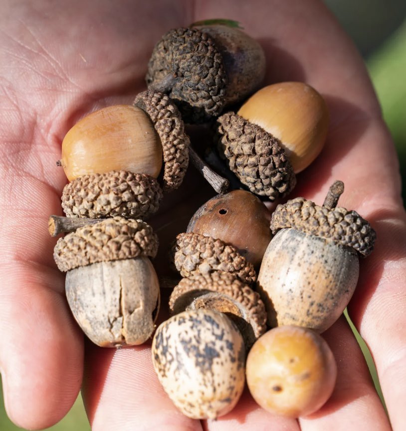 Mrs. W 💜✨🌻 #boltup ⚡️ tweet media