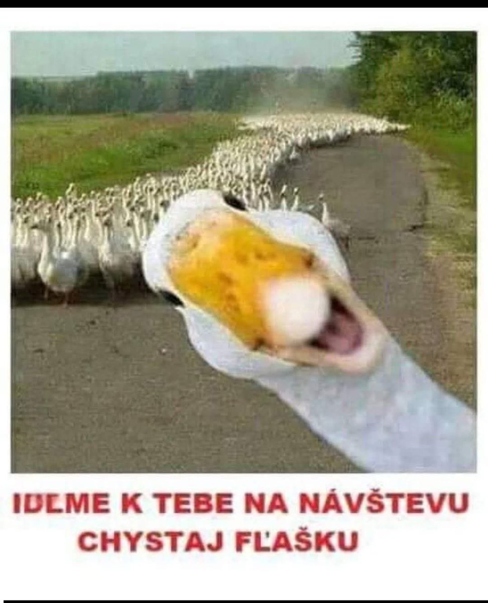 David “Backpacker” tweet media