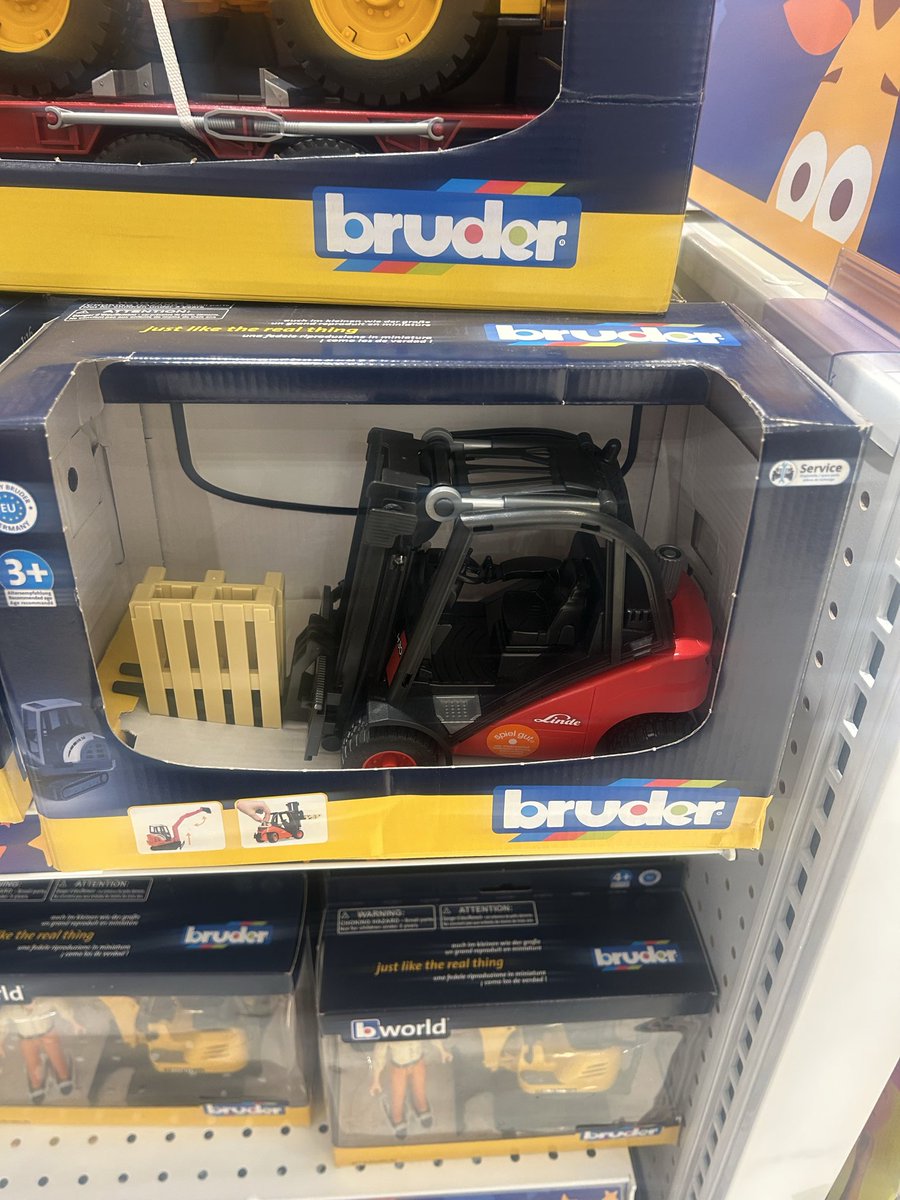 Not Friendly Lion tweet media