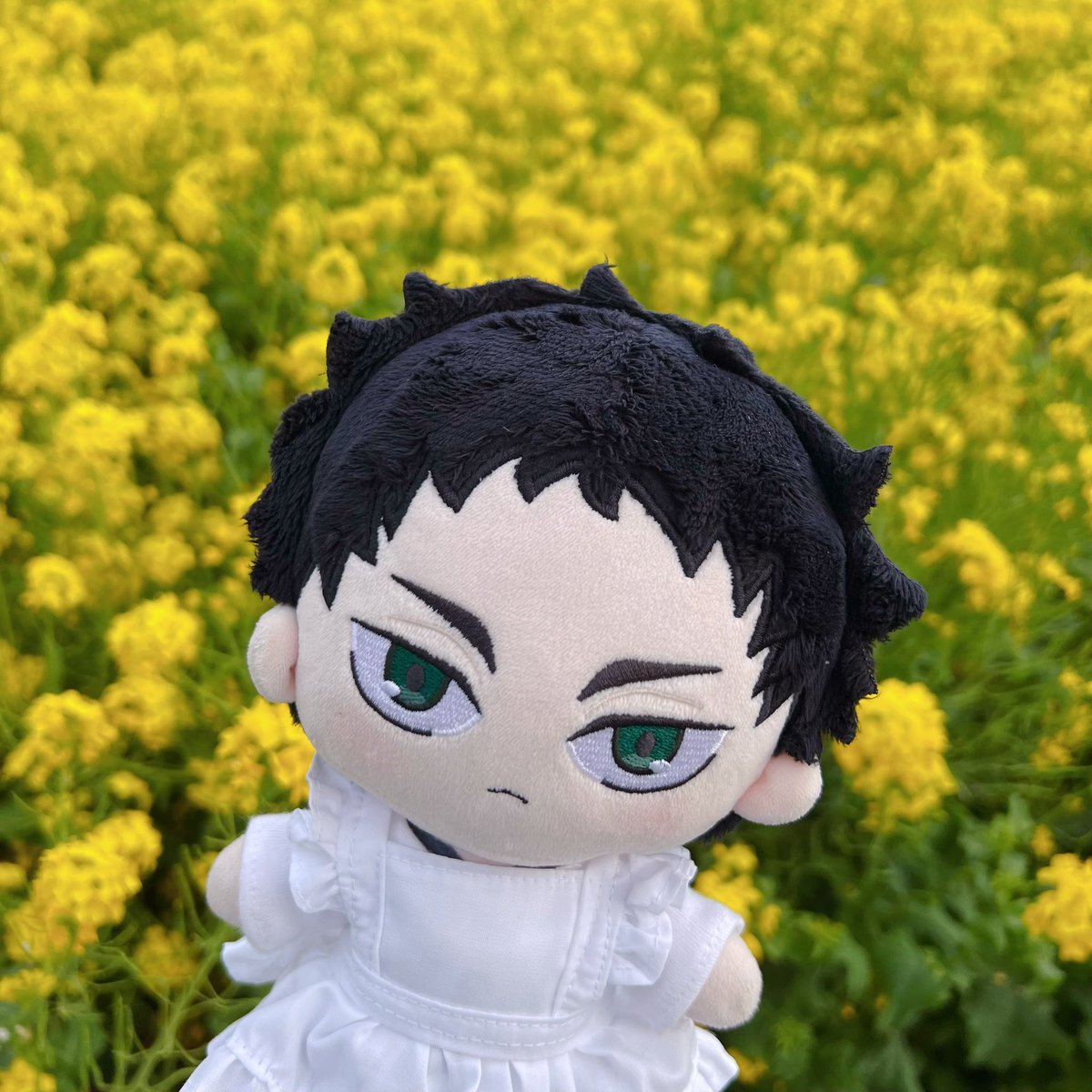 ずんぴよ🍓 tweet media