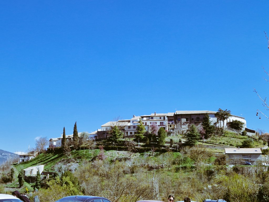 Manuel Bernal tweet media