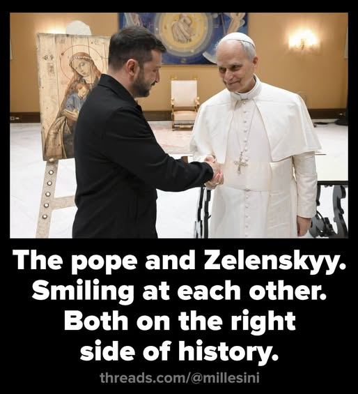 SnarkyLiberal tweet media