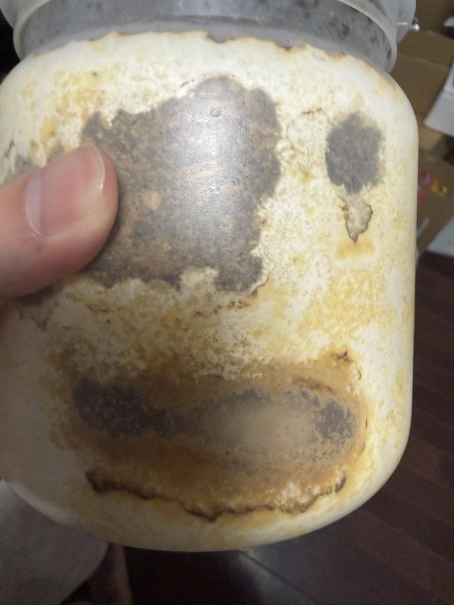 にっしー@クワガタ飼育初心者 tweet media