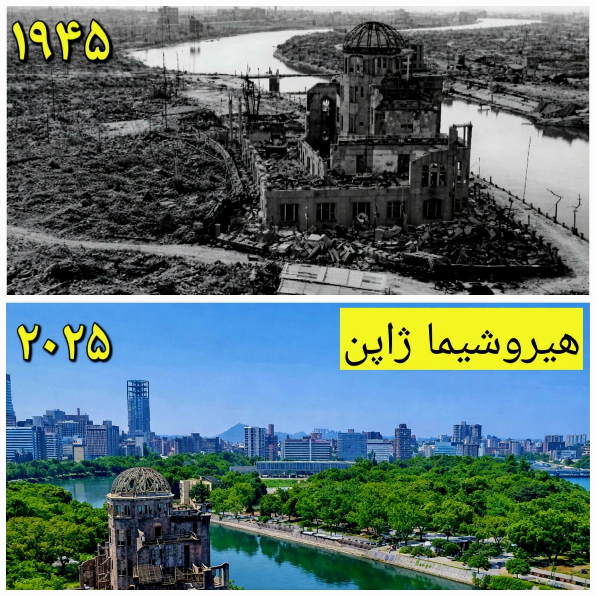 Farshid Babaei tweet media