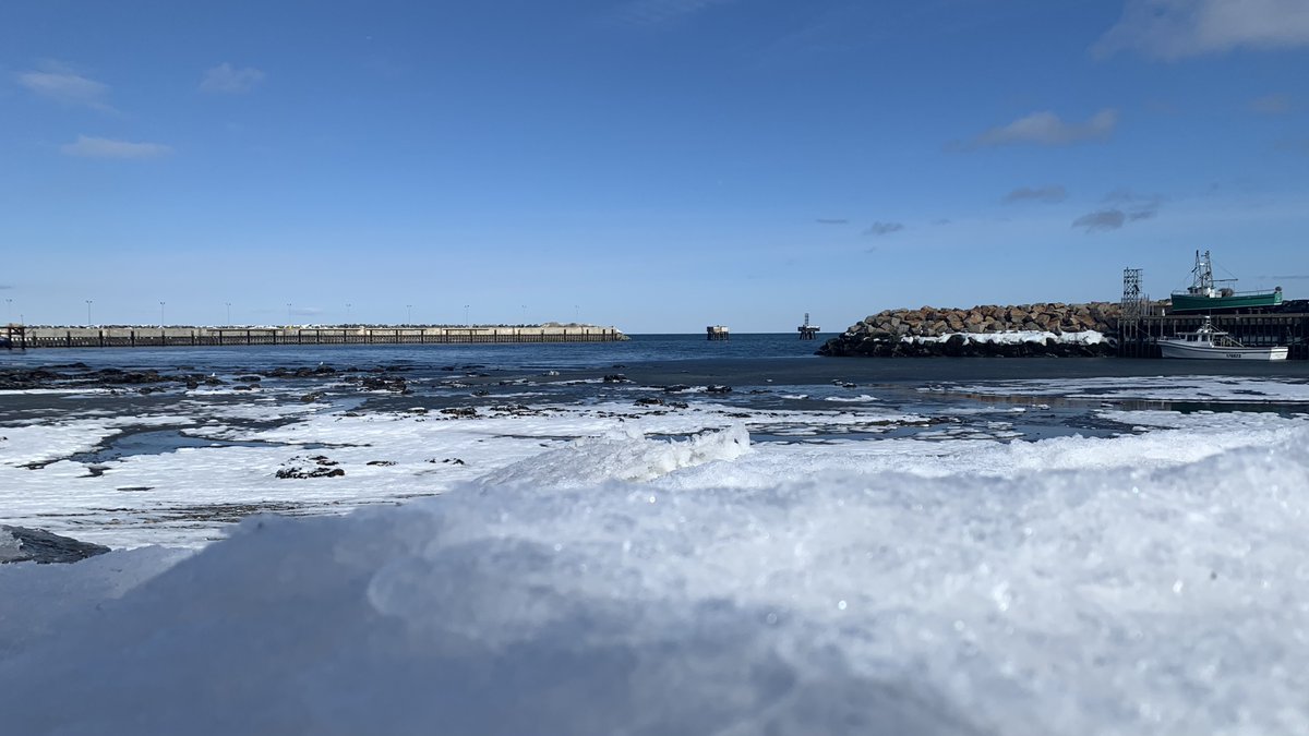 Absol🐾 tweet media