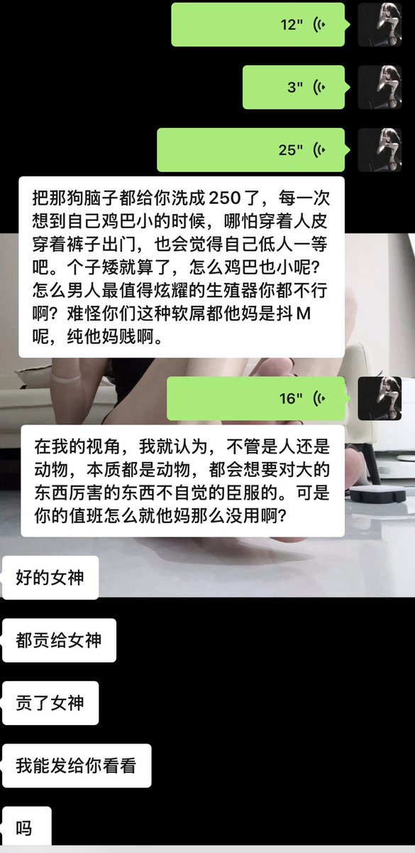 权鹿Dom tweet media
