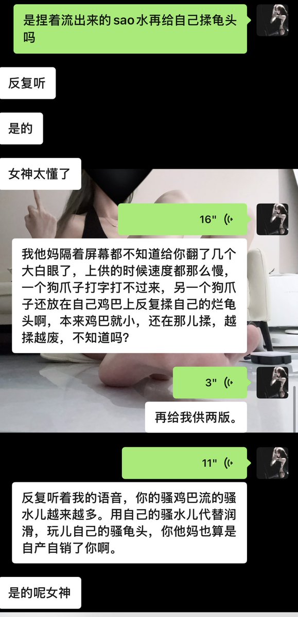 权鹿Dom tweet media