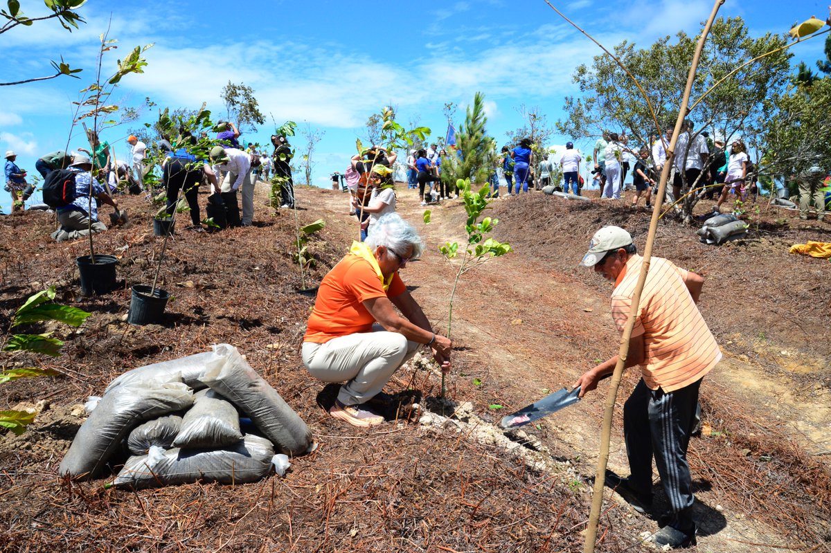 Casa Pueblo tweet media